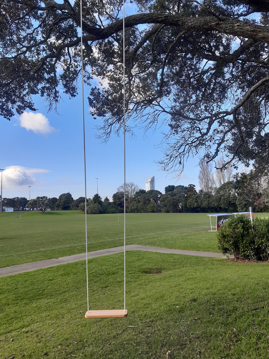 Residential Wooden Swing